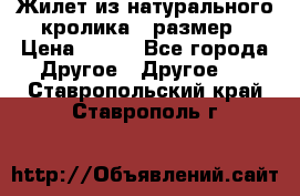 Жилет из натурального кролика,44размер › Цена ­ 500 - Все города Другое » Другое   . Ставропольский край,Ставрополь г.